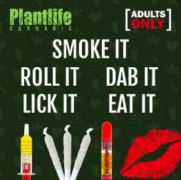 PLANTLIFE CANNABIS - LOVE IS IN THE AIR THIS VALENTINE’S DAY