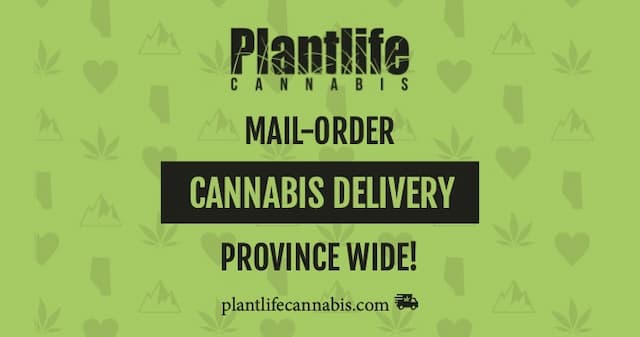 PLANTLIFE CANNABIS - MAIL-ORDER CANNABIS IS HERE!