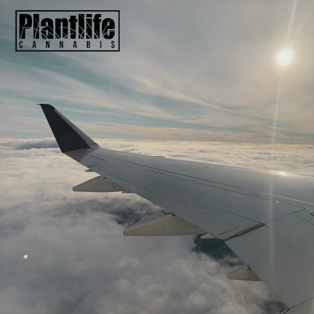 PLANTLIFE CANNABIS - TRAVELLING WITH CANNABIS, KNOW BEFORE YOU GO!