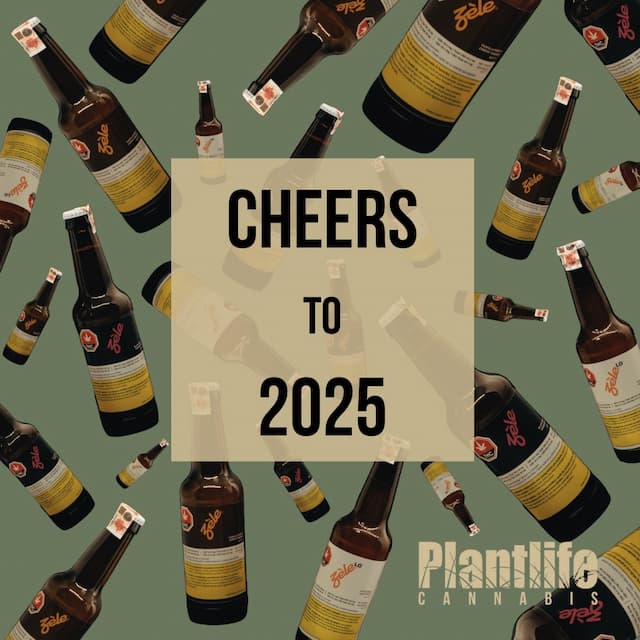PLANTLIFE CANNABIS - HAPPY NEW YEAR, NEW YOU IN 2025!