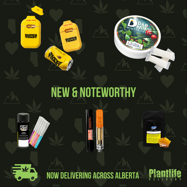 PLANTLIFE CANNABIS - NEW AND NOTEWORTHY CANNABIS!